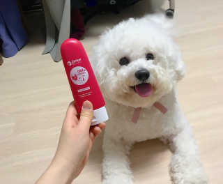 초코님이 올린 리뷰 사진 2