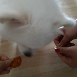 심준호님이 올린 리뷰 사진 2