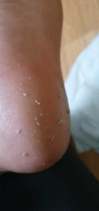 콩콩이님이 올린 리뷰 사진 4