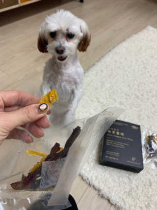 펫테라피 플레이트 야채품은 하루황태 — 5점을 준 리뷰어가 2020년 1월 올린 사용 사진