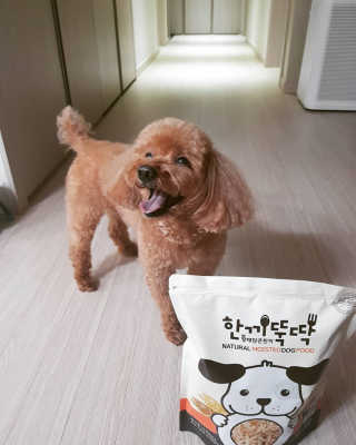 [펫토리아] 맛도 영양도 BEST 한끼뚝딱 강아지 사료 — 5점을 준 리뷰어가 2019년 4월 올린 사용 사진