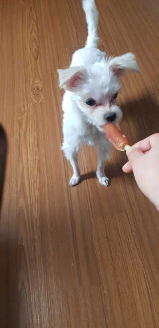 푸카카님이 올린 리뷰 사진 4