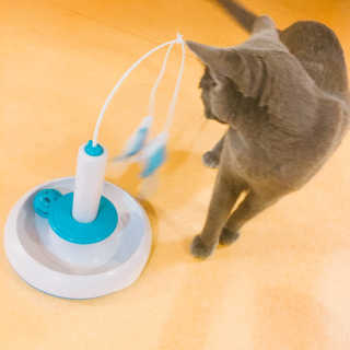 율집사님이 올린 리뷰 사진 1