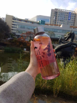 더THE담다 디톡스 워터 팩 500ml 5개 — 4점을 준 리뷰어가 2016년 11월 올린 사용 사진