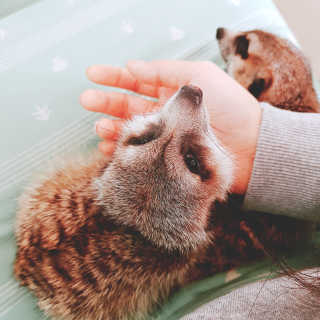 💜고다고다💜님이 올린 리뷰 사진 2