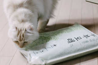 onvit님이 올린 리뷰 사진 2