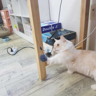mkyung_c님이 올린 리뷰 사진 3