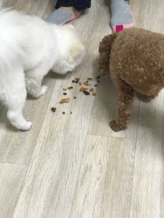 이성민님이 올린 리뷰 사진 4