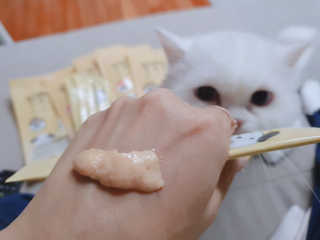 [펫토리아]짜먹는 한입뚝딱 강아지.고양이 마약간식 — 5점을 준 리뷰어가 2019년 8월 올린 사용 사진