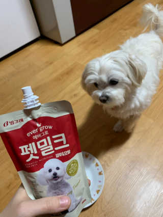 [빙그레] 에버그로 생유산균 1봉（10포입）+펫밀크2팩 — 5점을 준 리뷰어가 2019년 3월 올린 사용 사진