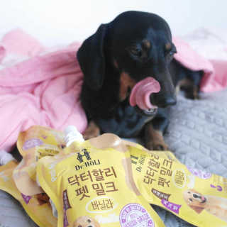 닥터할리펫밀크 8종 — 5점을 준 리뷰어가 2019년 12월 올린 사용 사진