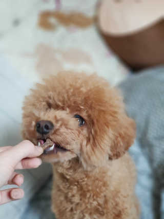 내사랑 초코♡님이 올린 리뷰 사진 4