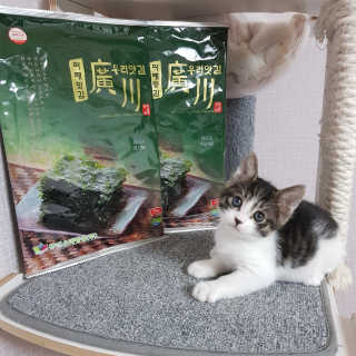백현지님이 올린 리뷰 사진 1