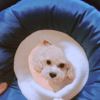 오민정님이 올린 리뷰 사진 3