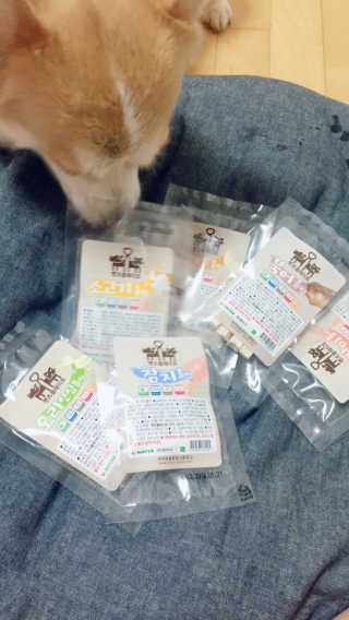 펫츠플레이트 동결건조간식 기호성 테스트 8종 — 5점을 준 리뷰어가 2018년 6월 올린 사용 사진