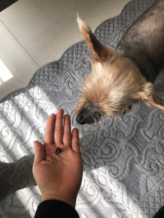 전혜민님이 올린 리뷰 사진 3