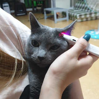 율집사님이 올린 리뷰 사진 4