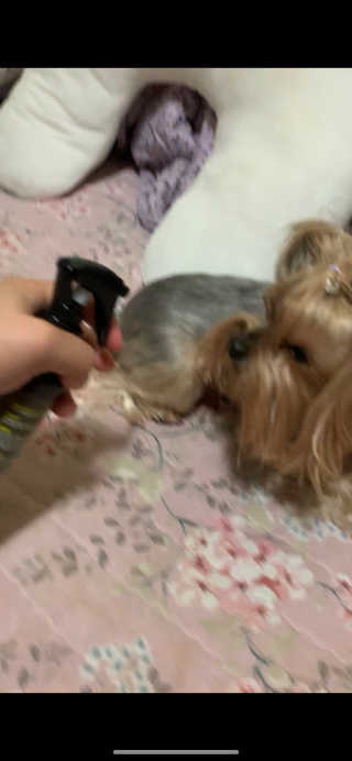 이미경님이 올린 리뷰 사진 4