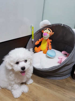 짬뽕이누나님이 올린 리뷰 사진 2