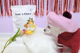 [펫토리아] 한입뚝딱 혼합 덴탈츄 Just 1-Chew — 5점을 준 리뷰어가 2020년 2월 올린 사용 사진