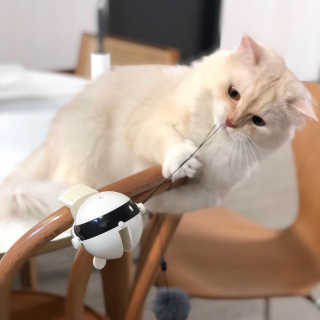 다용블리님이 올린 리뷰 사진 2