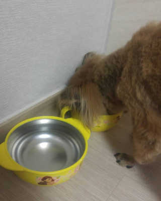 작은곰님이 올린 리뷰 사진 3