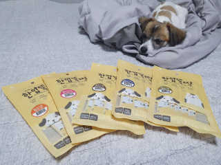 [펫토리아]짜먹는 한입뚝딱 강아지.고양이 마약간식 — 4.5점을 준 리뷰어가 2019년 8월 올린 사용 사진