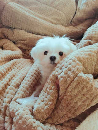 상큼슈님이 올린 리뷰 사진 1