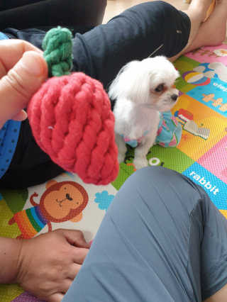 삐랭이님이 올린 리뷰 사진 2