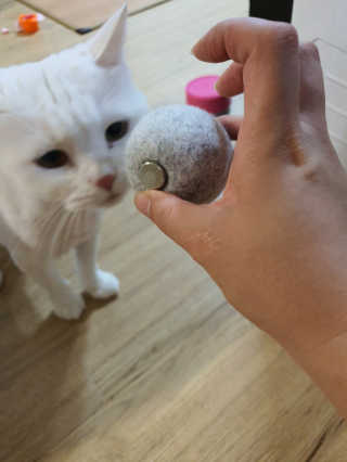 루씨네님이 올린 리뷰 사진 4