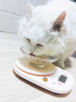 자몽이님이 올린 리뷰 사진 4