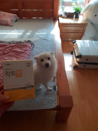 유산균하우스 [프로바이오닉]락토벳 — 3점을 준 리뷰어가 2019년 2월 올린 사용 사진