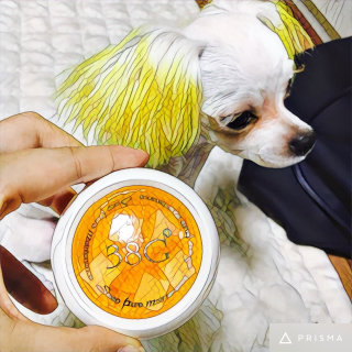 찡찡이님이 올린 리뷰 사진 2
