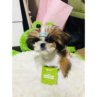 구름아가님이 올린 리뷰 사진 2