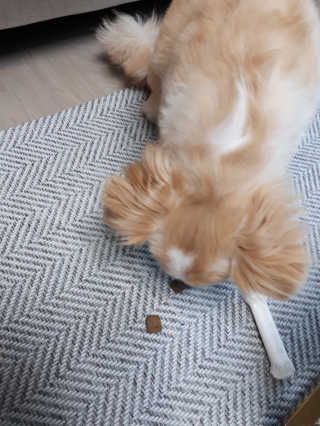 jina2744님이 올린 리뷰 사진 3