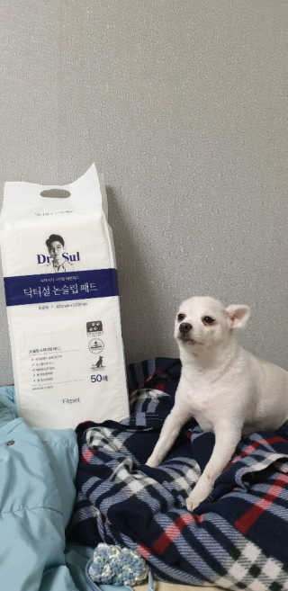 전은영님이 올린 리뷰 사진 1