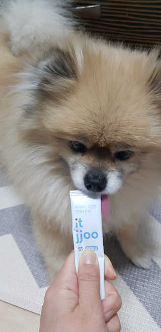레고사줘님이 올린 리뷰 사진 2