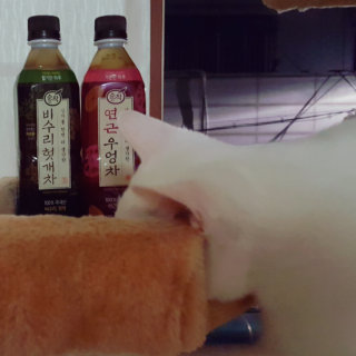 쏭쓰님이 올린 리뷰 사진 3