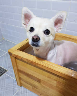 임예슬님이 올린 리뷰 사진 4