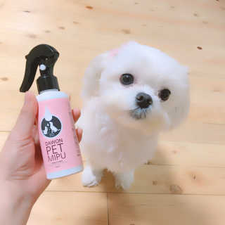 민콩님이 올린 리뷰 사진 1