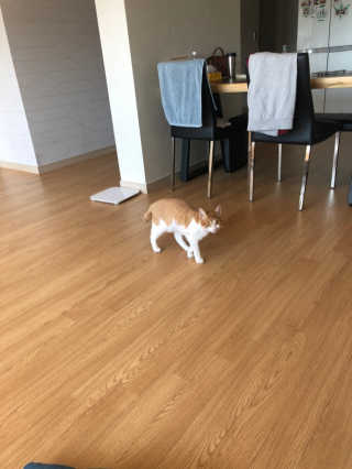 JihyeCheong님이 올린 리뷰 사진 2