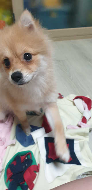 소소러비님이 올린 리뷰 사진 3