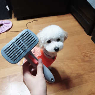 민동2님이 올린 리뷰 사진 3