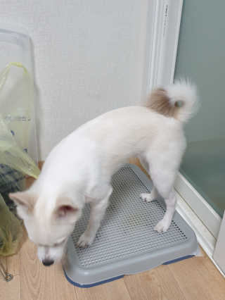 장이빠님이 올린 리뷰 사진 3