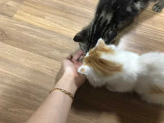 구힘찬님이 올린 리뷰 사진 2