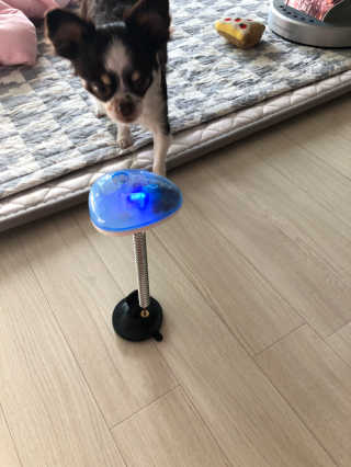 띠띠님이 올린 리뷰 사진 2