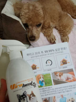 mizong님이 올린 리뷰 사진 1