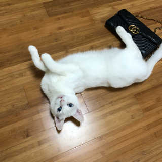 ㅑ야양님이 올린 리뷰 사진 1