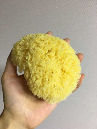 룰라러브 모공관리 끝 지중해산 천연해면 바디스펀지 — 5점을 준 리뷰어가 2018년 3월 올린 사용 사진