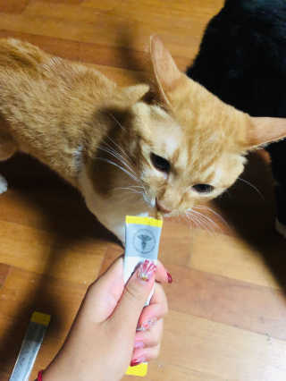 새빨간엘모님이 올린 리뷰 사진 1
